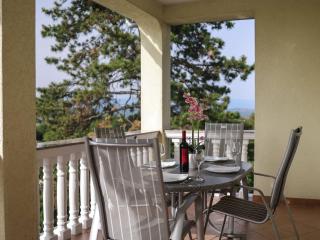 Peaceful Nature Retreat Near Krk Town with BBQ and Parking - Standard Two Bedroom Apartment - 1