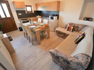 Relax and Rustic Apartments with Terrace - Standard One Bedroom Apartment with Terrace - 0