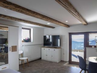 Mountain Vibrant and Timeless Apartment with Sauna - Studio Apartment with Terrace - 0