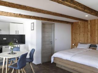 Mountain Vibrant and Timeless Apartment with Sauna - Studio Apartment with Terrace - 3