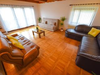 Cozy Luxe Holiday Home with Natural Thermal Bath - Seven Bedroom Holiday Home - 7