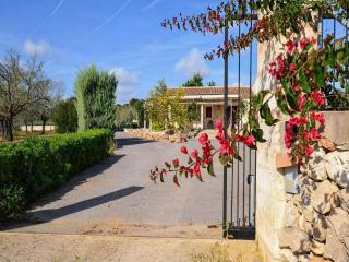 Holiday Home in Maria de la Salut - 2