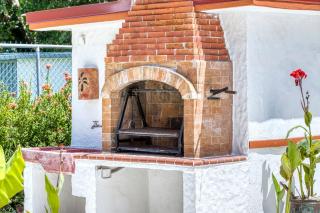 Mariposa Monarca - 2