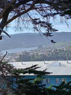 Magenta departamentos - 5