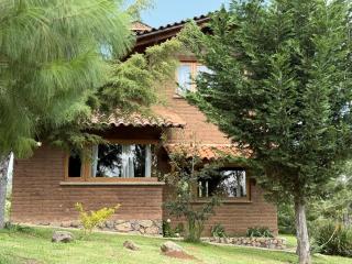 Cabaña Tigre Tapalpa - 7