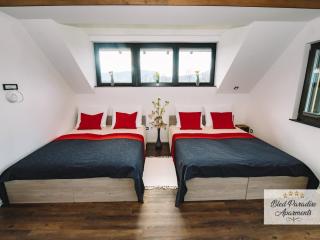 Bled Prestigious and Stylish Apartments - Two Bedroom Apartment with Balcony - 5