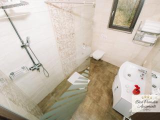 Bled Prestigious and Stylish Apartments - Standard One Bedroom Apartment with Balcony - 3