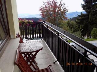 Comfortable Zre e Apartment - One Bedroom Apartment - 1