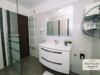 Bled Prestigious and Stylish Apartments - Classic One Bedroom Apartment with Balcony - 3