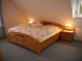 Holiday apartment in Harz with 1 bedroom - 2