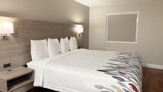 Red Roof Inn & Suites Swansea - 2