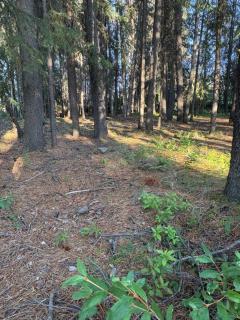 Johnsons Crossing Lodge - 3