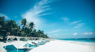 Jungle Guardian - Rooftop Pool & Beach Club in Zona Hotelera Tulum - 3