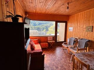 Appartement au cœur de Super Besse, vue sur montagnes - FR-1-814-101 - 8