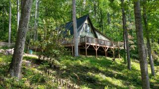 Honeycomb Hideaway by AvantStay Rustic Retreat - 1