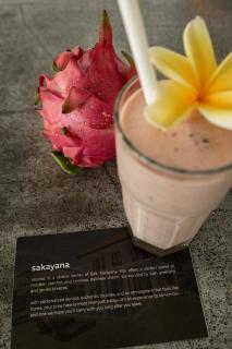 Villa Sakayana 4BR Canggu - 1