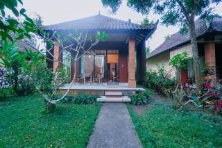 Coco Family Healing - 8