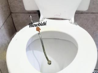 Cerca de todo - 2