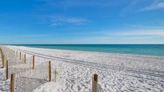Destiny on the Sand by AvantStay Direct Beach Access Bbq on Large Ocean Facing Patio - 5