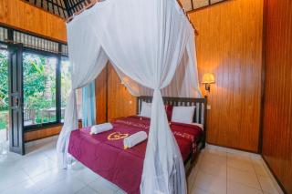 Coco Family Healing - 1