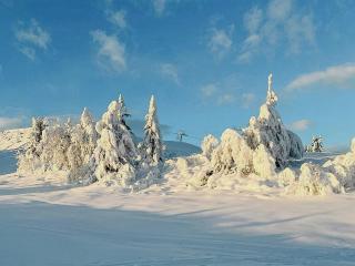 Cosy Cabin By Golsfjellet Ski Resort - 9
