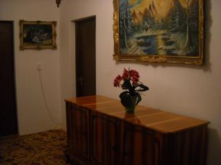 Casa Miki - Haţeg - 5