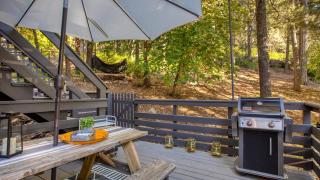 A-Frame Retreat Chic and Modern Forest Views Hammock Outdoor Dining Decks - 8