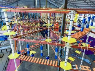 Monkeys Canopy Resort with Theme Parks - 3