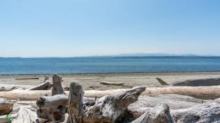 Smugglers Lagoon Beach Cottage by AvantStay - 1