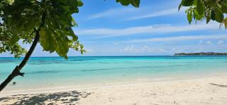 Seaside Dhangethi Inn - 5