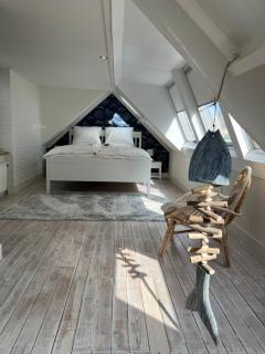 Zeemeeuw aan Zee - 7