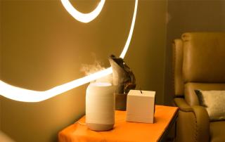 Blossom Hotel Houston, Curio Collection by Hilton - 9