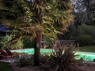 Les Ailes du Temps - 4