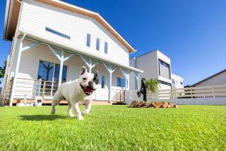 Villa Uminosora - Vacation STAY 43913v - 9