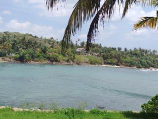 Surf Paradise 2 - 9
