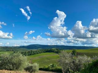 Idyllic Farmhouse in Gambassi Terme-Fi with Swimming Pool - 8