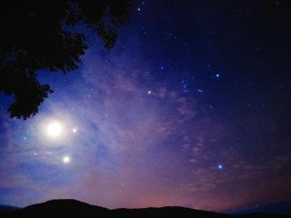 Napahong Treehouse นาป่าฮง - 1