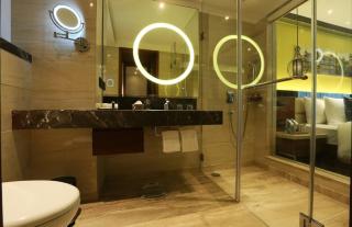 Hotel Ginger Palace Delhi Airport - 2