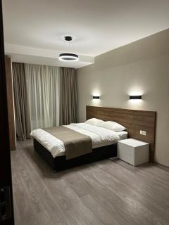 Krystal Bakuriani resort hotel 202C - 6