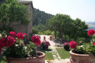 L'Oasi - Piano Delle Pieve - 7
