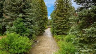 Manitou River House 113 by AvantStay A Location - 9