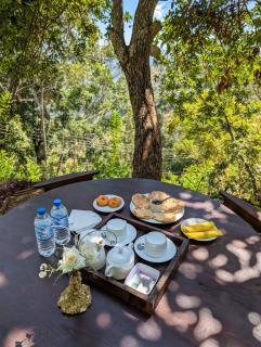 Country Cabin Ella - 8