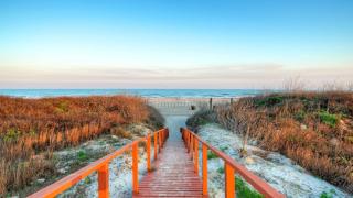 Beachfront Condo w Ocean View 2 Pools Boardwalk to the Beach Island Getaway - 7