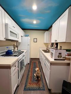 Catch of the Day Pet-Friendly El Pescador 1 Block from the Beach - 4