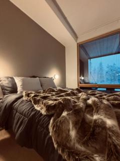 Aurora Chalet A2 by Aavalevi Holidays Ski-in Ski-out - 9
