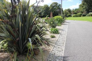 The BarnsPigallie - 2