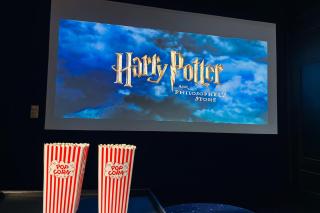 Harry Potter Lodge - 7