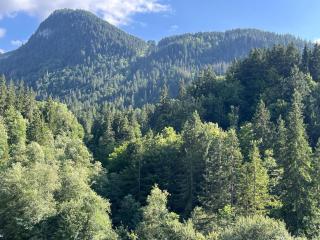 CHALET BARTLETT chalet neuf et paisible proche du centre de Morzine - 9