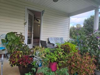 2066 Hawkins Mill Road - 5