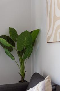 Central 2 - 10min Paris - 30min Disneyland -Free Parking - 5